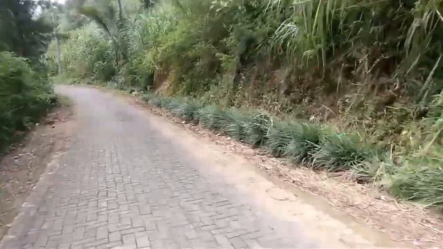 Taman Tambong Pule Trenggalek | Jalan jalan смотреть онлайн