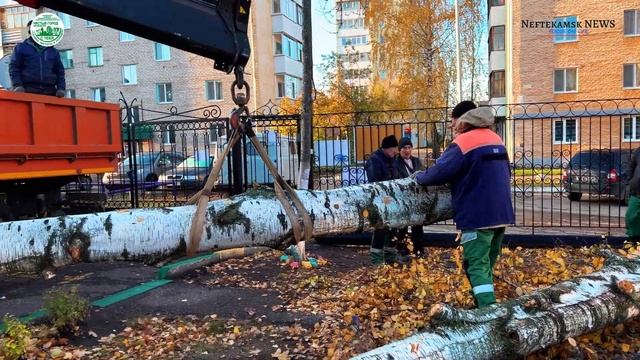 18.10.2023. Дневная смена СЧиП. смотреть онлайн