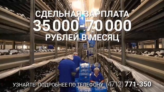 Грибная радуга смотреть онлайн