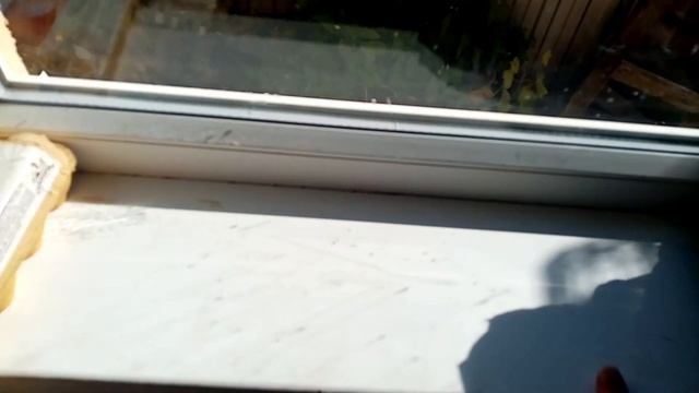 Правильная зимовка домашних лимонов и других растений в квартире на подоконнике.Период покоя смотреть онлайн