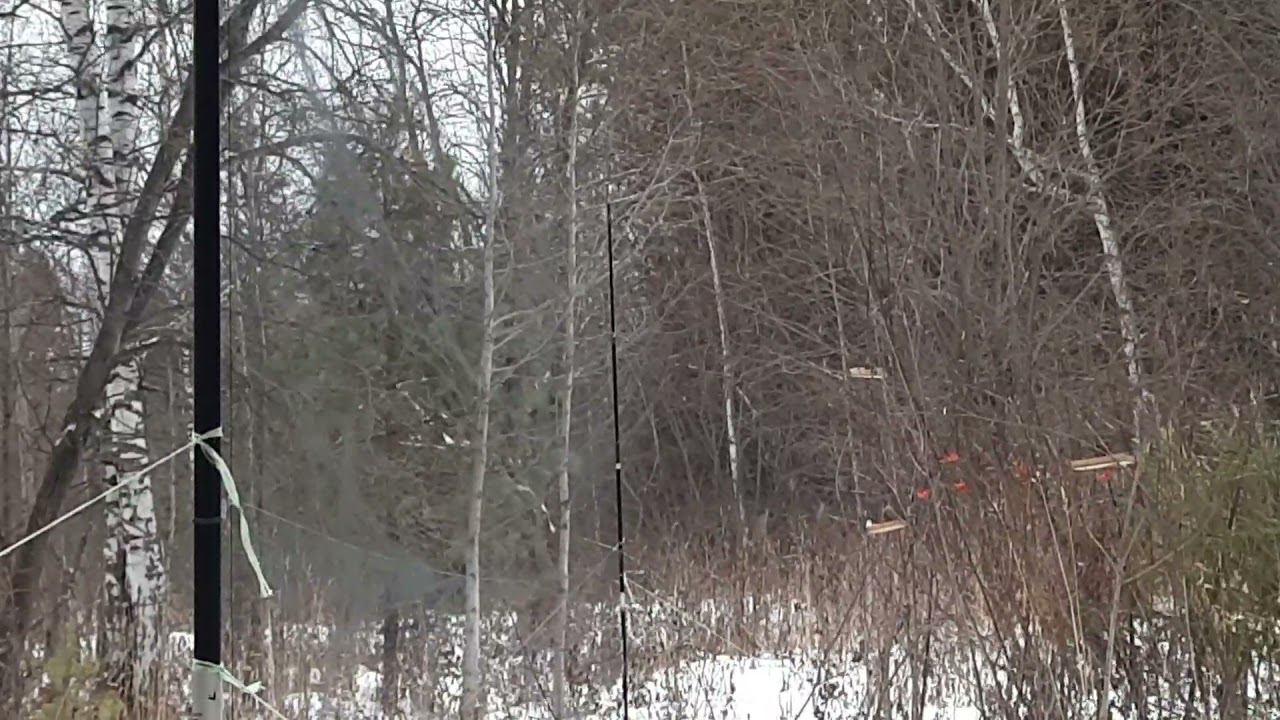 Ловля клестов. 4.12.2021 год смотреть онлайн