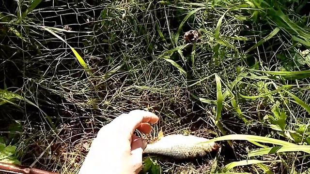 Рыбалка на телевизор (екран) день 4 смотреть онлайн