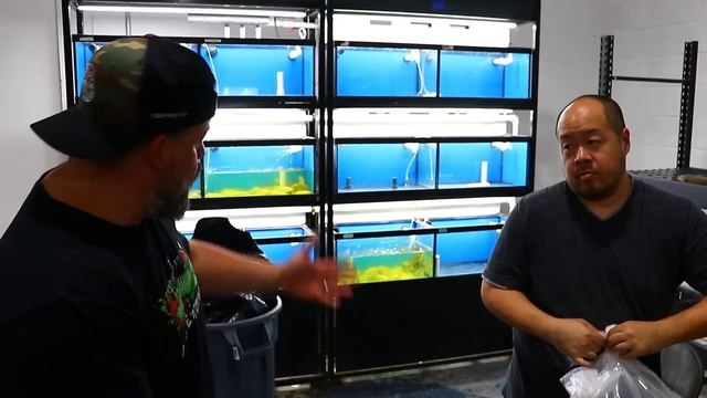 UNBOXING AN INSANE TROPICAL FISH SHIPMENT FROM ASIA - PART 1 смотреть онлайн
