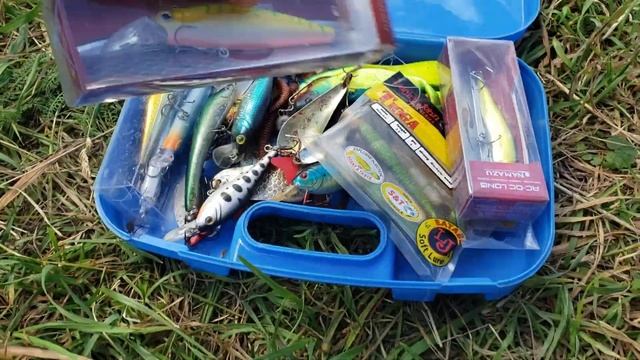 Отдых на озере! Пробую ловить! #рыбалка #отдых #природа смотреть онлайн