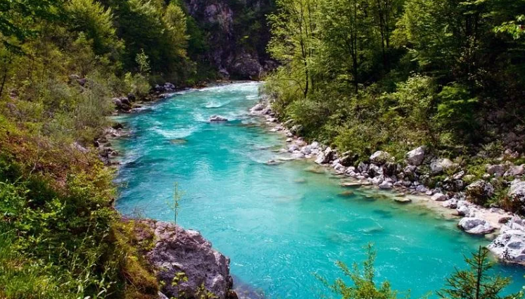 Красивое бирюзовое течение реки ✦ Звуки леса и пение птиц ✦ Relax Sleep смотреть онлайн