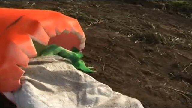 Фальшстарт адовой морковки смотреть онлайн