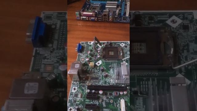 Перекупы опять за своё!!! смотреть онлайн