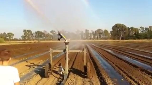 Cane contro irrigatore смотреть онлайн