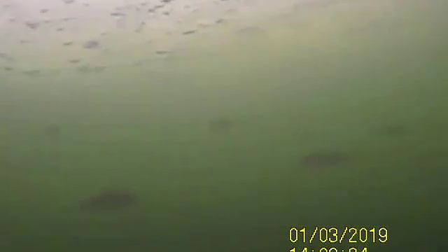 Рудня речка яма возле моста смотреть онлайн