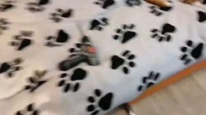 Установка Bluetooth модуля в акустику 2.1