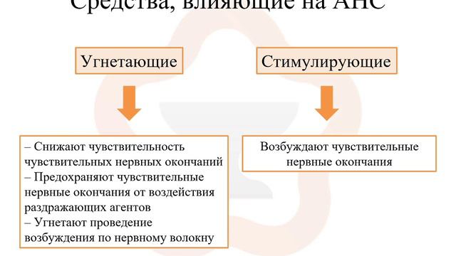 3.1. Афферентная нервная система смотреть онлайн