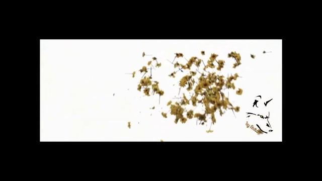 Клип по фильму Фаворит(2003) смотреть онлайн