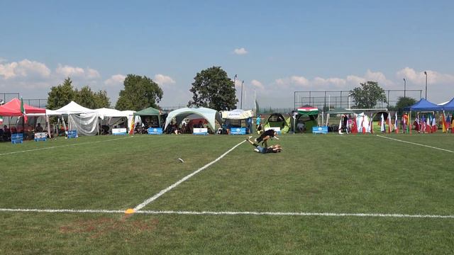 Гурова Вика и бордер колли Веник - EC USDDN - 2018 (Slovakia) смотреть онлайн