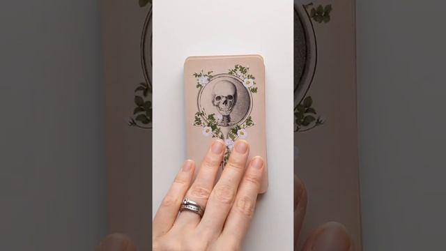 Memento Mori Lenormand and Oracle Deck Flip Through смотреть онлайн