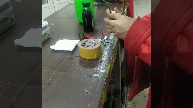 Как я пыталась покрасить розы!!! смотреть онлайн