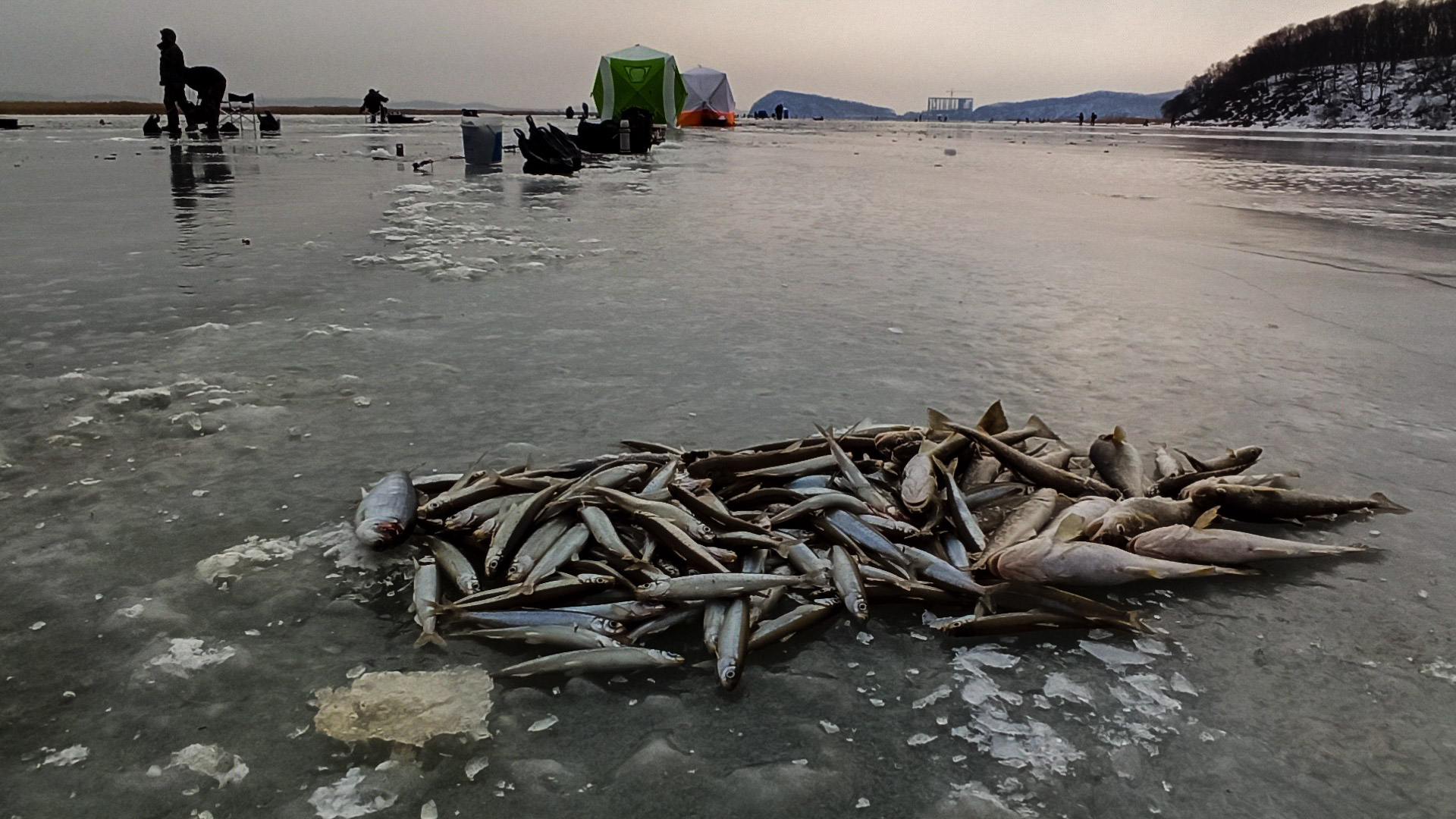 РЫБАЛКА НА ЛОВЧИЕ СНАСТИ / ЧУДО СНАСТЬ КОТОРАЯ КОСИТ РЫБУ смотреть онлайн