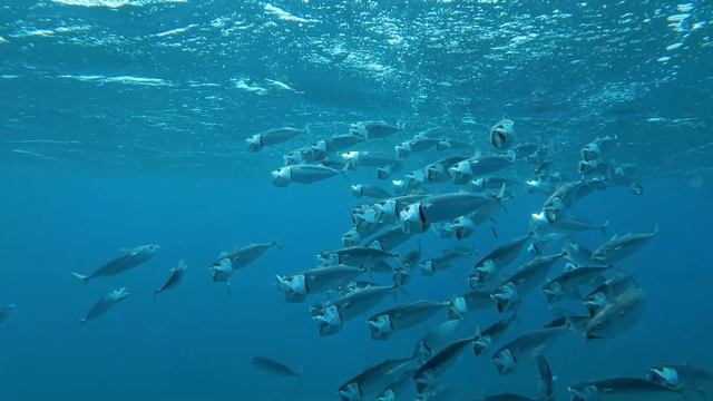 under water смотреть онлайн