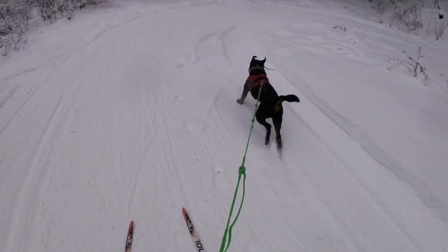 Тренировки с Князем (точнее для Князя больше). смотреть онлайн