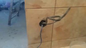 Ошибки при монтаже электрического теплого пола и пути их решения