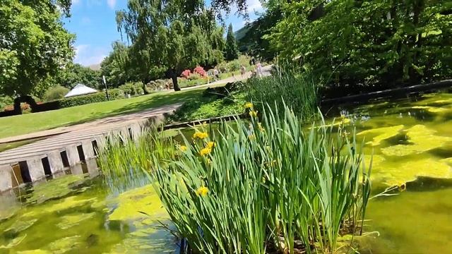 Park Planten un Blomen.Самый красивейший парк Гамбурга, который поразит вас своей природой.Часть 1. смотреть онлайн