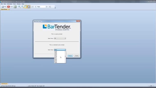 Data Entry Forms in BarTender 2016 (Recorded Webinar) смотреть онлайн