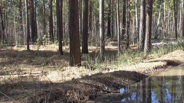 Настрой академика Сытина Г Н  Против аритмии сердца 3 часть