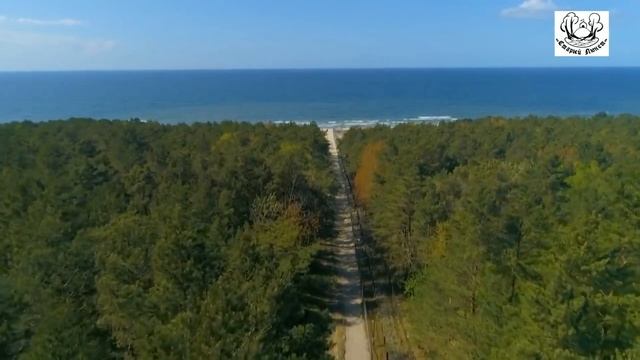 САМАЯ ЗАПАДНАЯ ПОГРАНИЧНАЯ ЗАСТАВА РОССИИ смотреть онлайн