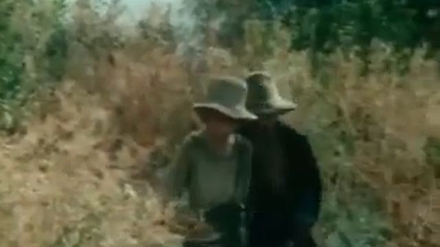 Рассуждение о свободе и богатстве смотреть онлайн