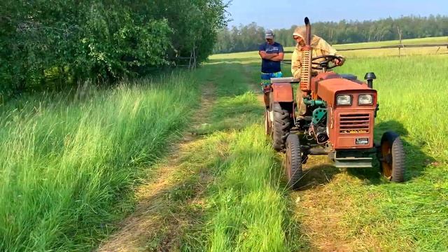 Синтай трактор | якутская переделка сенокосилки От - 2022 | Тыа сирэ | 邢台拖拉机 xingtai ?? смотреть онлайн