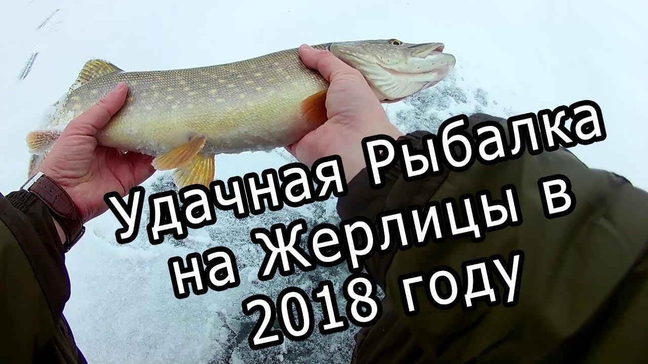 Удачная рыбалка на Жерлицы. Зимняя рыбалка 2018. Щука в Январе