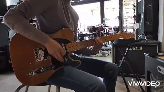 FENDER American Professional II Telecaster Roasted Pine.