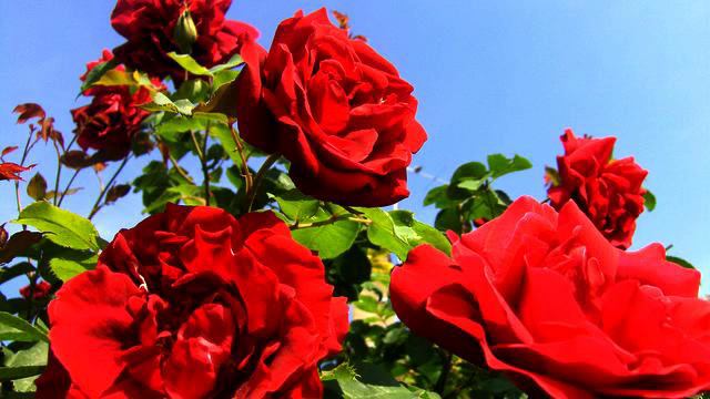 Слушать хорошую музыку радио 2015 смотреть онлайн