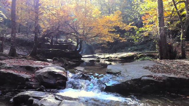 Heavenly Violin and Cello Instrumentals 🎻 Relaxing Background Music смотреть онлайн