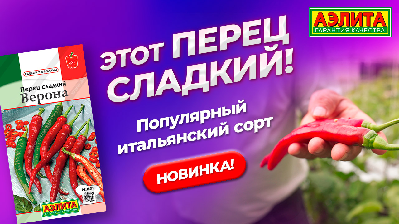 Оригинальный сладкий перец ВЕРОНА. Отличный сорт для приготовления паприки!