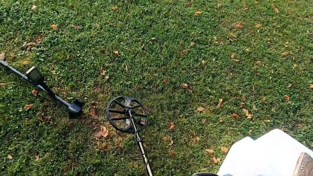 Nokta Makro Legend V1.09 and Equinox 800 masked gold ring смотреть онлайн