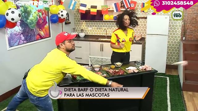 Dieta barf o dieta natural para las mascotas смотреть онлайн