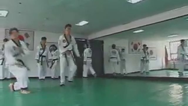 Hapkido Falling Technique