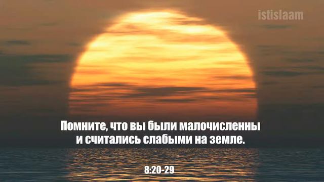 Коран "Аль-Анфаль" 20-29 | Имад аль-Мансари смотреть онлайн