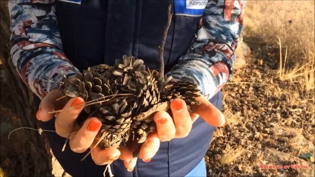 Последний день осени ? смотреть онлайн