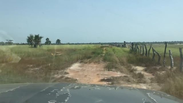 We Deployed 9 weed-whackers to BAG смотреть онлайн