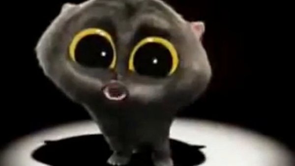 Котик исполняет SCATMAN 1 час!!!