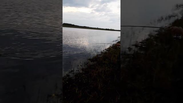 Щука. Рыбалка на Савкино. смотреть онлайн