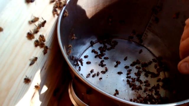 Осушка рамок инвентаря после откачки меда. Многокорпусные ульи