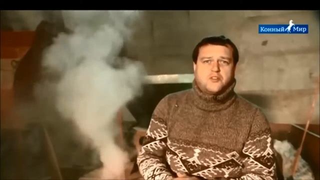 Конный завод Орловский Фаворит. 2 часть смотреть онлайн