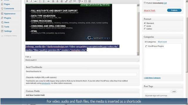 Web Media Grabber WordPress Plugin - Using Grabbed Media смотреть онлайн