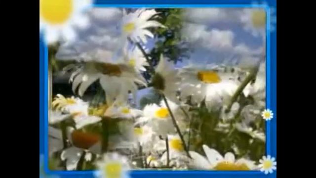 РОМАШКОВОЕ ПОЛЕ танец смотреть онлайн