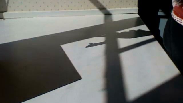 little shadow fingerboarding смотреть онлайн
