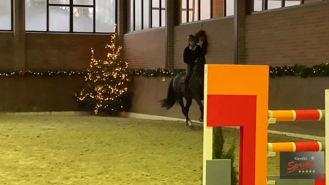 Cornet de Semilly Trainingsimpressionen смотреть онлайн
