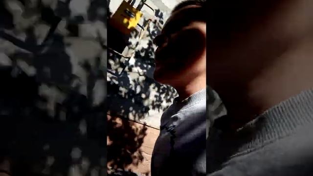 нашли багамола смотреть онлайн