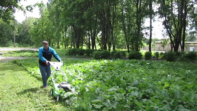 Газонокосилка Viking - косит всё! смотреть онлайн